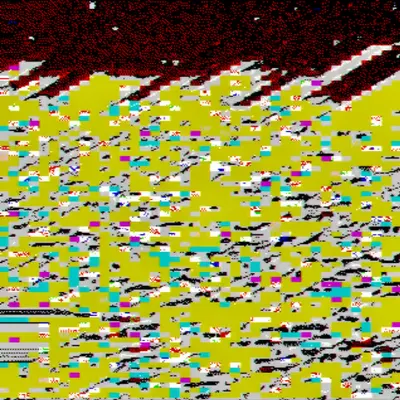 IMG 1113