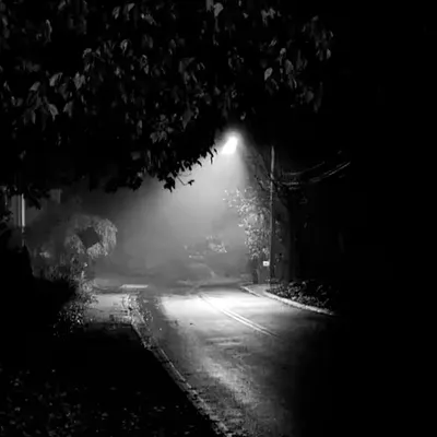 Guiding Light #1/8