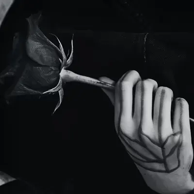 _swan song #1/24
