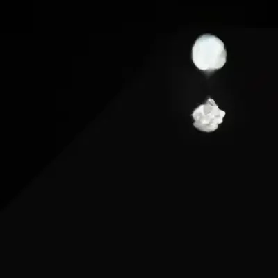Moon . Flower