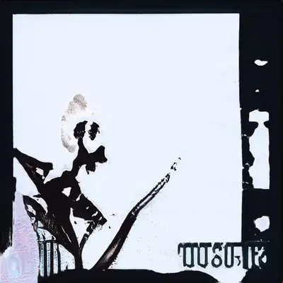 Polaroid (Negative)
