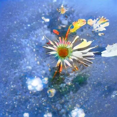 Ephemeral
