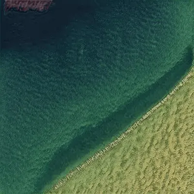 Foreign Shores