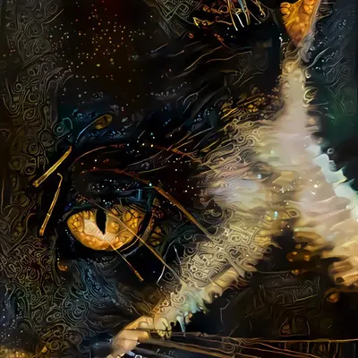 Eye of the Beholder