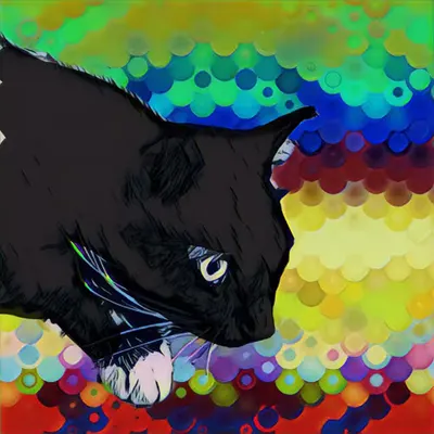 Ozzy Cat
