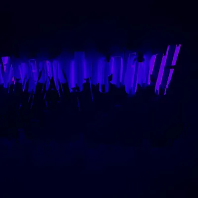 Rave