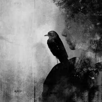 Untitled III