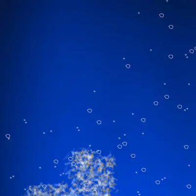 Noctilucent Memento #205