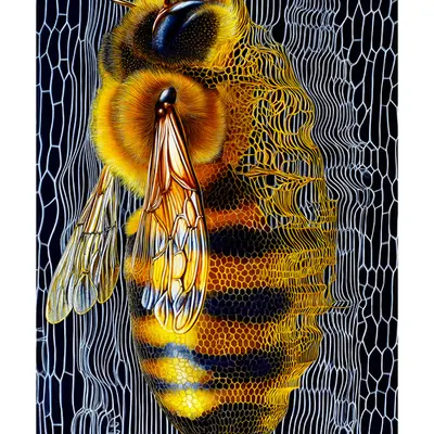 Buzz