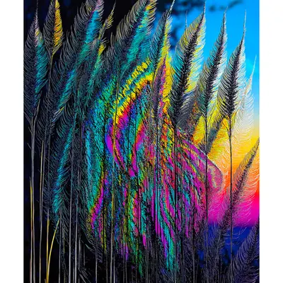 Reeds