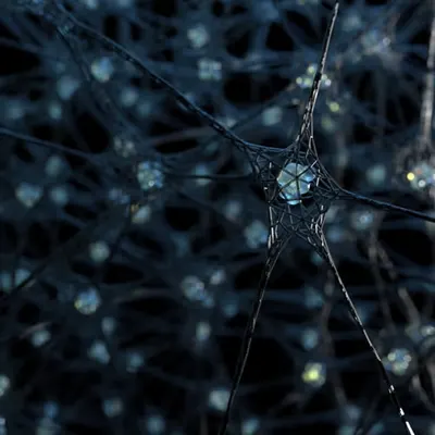 Connections (2022)