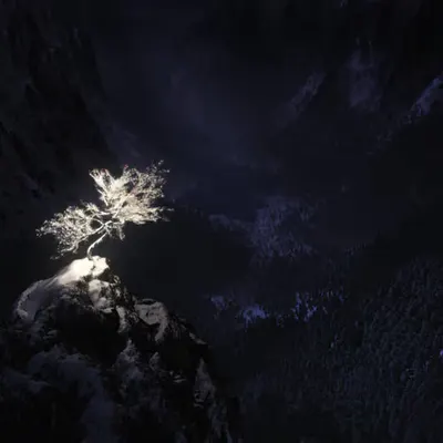 Highland Yule (2010)