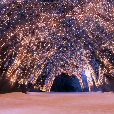Sleepwalker Woods [Christmas] (2012)