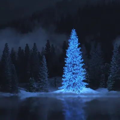 Silent Night (2015)