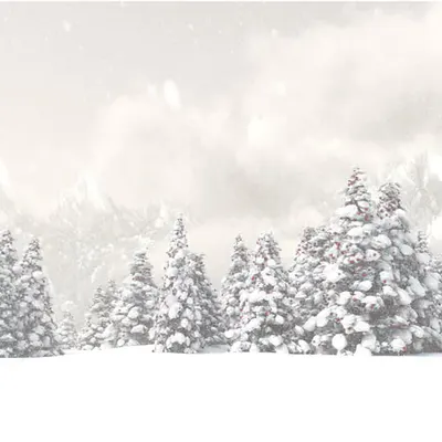 Foggy Christmas Eve (2016)