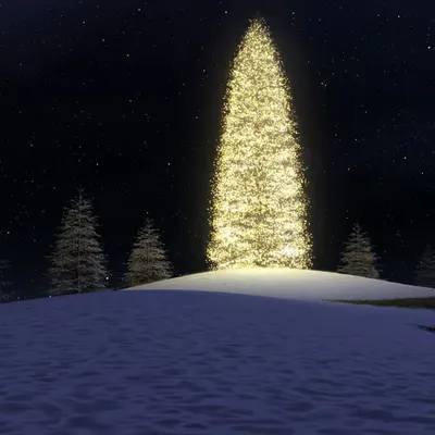 Season of Light (2005)