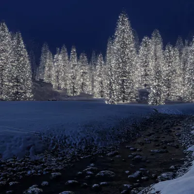 Snowy Creek [Christmas] (2006)