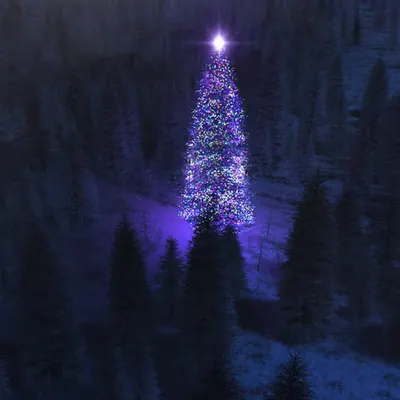 Yuletide (2007)