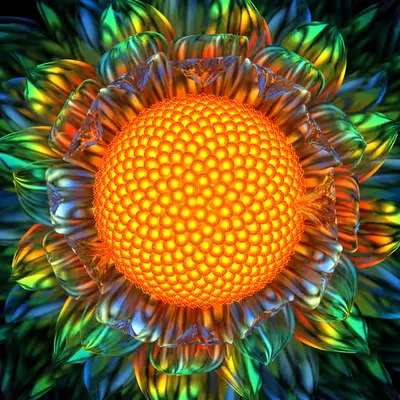 Sunburst Daisy (2012)