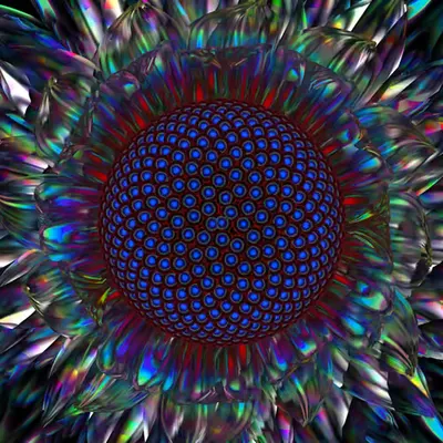 Iridescent Daisy (2021)