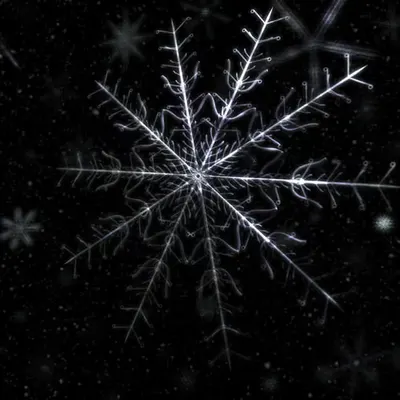 Winterborn [IV] (2001)