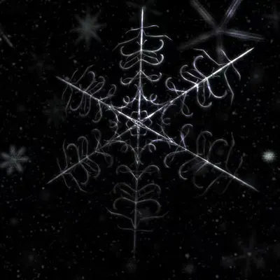 Winterborn [III] (2001)