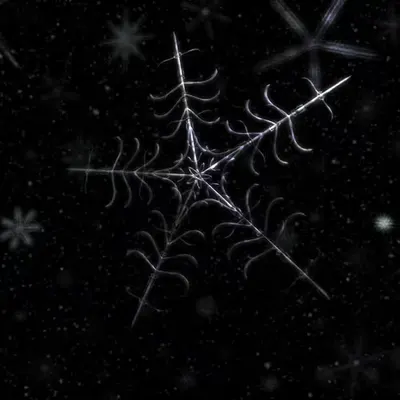 Winterborn [II] (2001)
