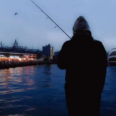 Bird fishing