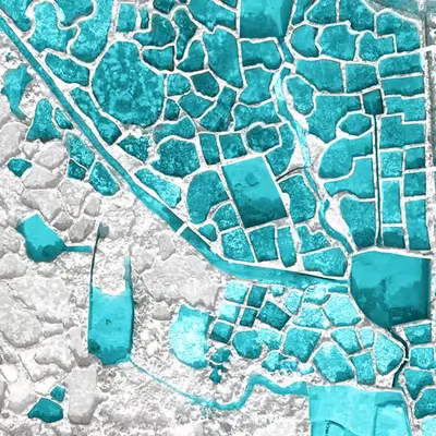 geometry of nature