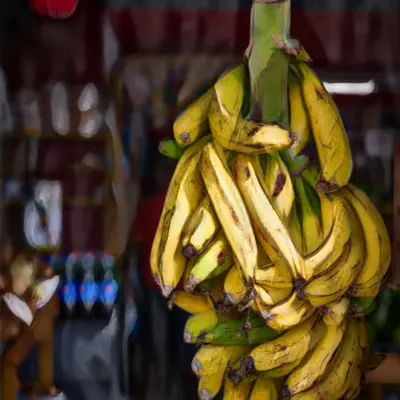 Bodegón