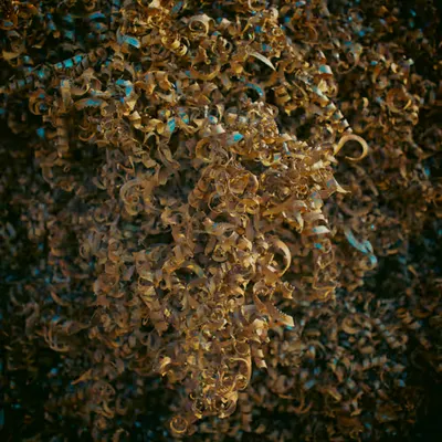 CACHIVACHES #6