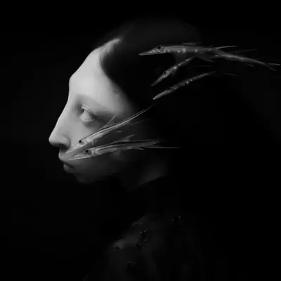 a25/14