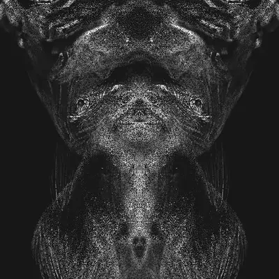 Salus II