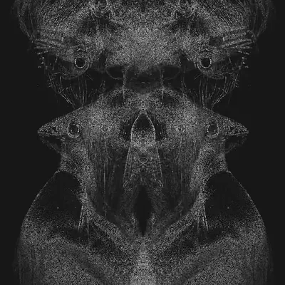 Salus I