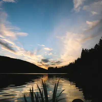Lakelife #3