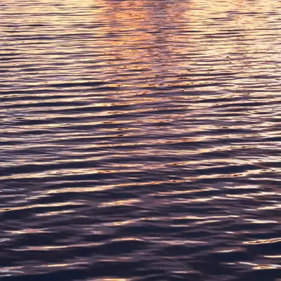 Upside Down #2