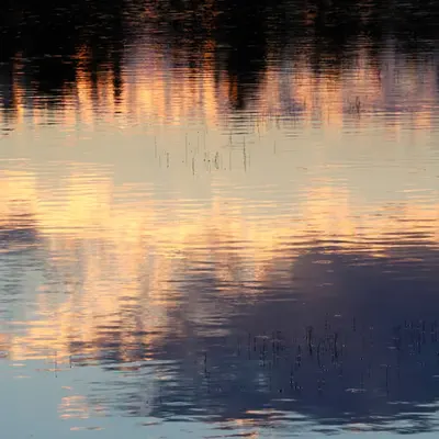 Upside Down #3