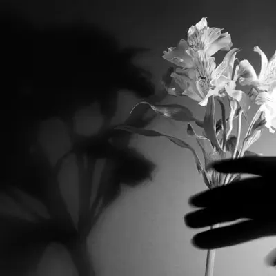 Flowers and Rhyms #1