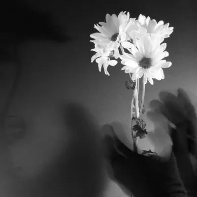 Flowers and Rhyms #2