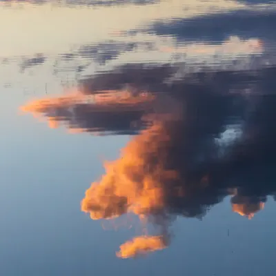 Upside Down #5