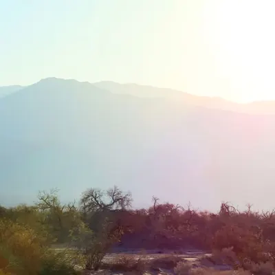Sun Light #1