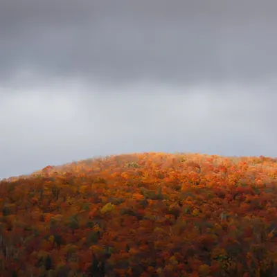 Fall Vibes #1