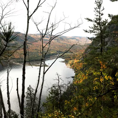 Fall Vibes #2