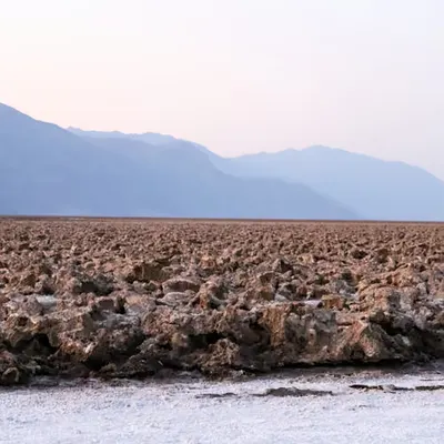 Desert Love #1