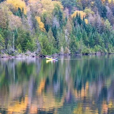 Fall Vibes #4
