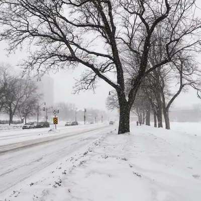 Winter Vibes #5