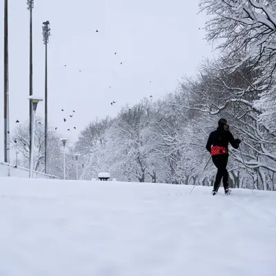 Winter Vibes #5