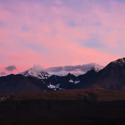 Yukon Love
