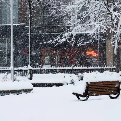 Winter Vibes #1