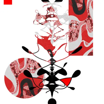 The rabbits